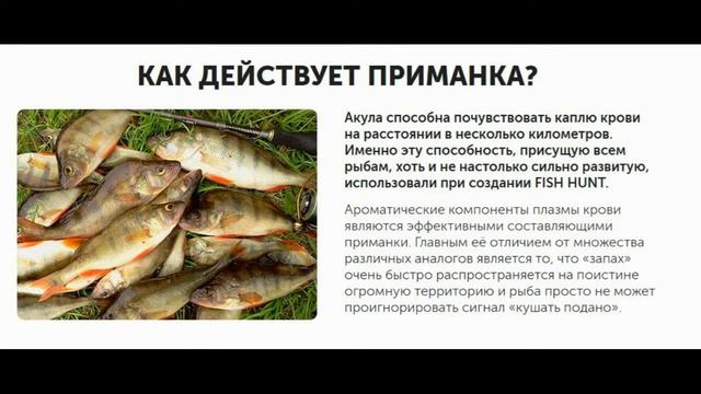Fish Hunt - отзывы смотреть онлайн
