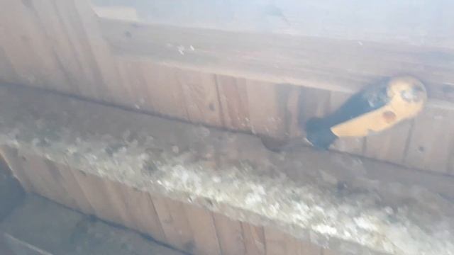 Что такое масть у голубей / какими бывают масти смотреть онлайн