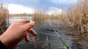 ПЛОТВА ПОШЛА ! ЛОВЛЯ ПЛОТВЫ НА ПОПЛАВОК ВЕСНОЙ