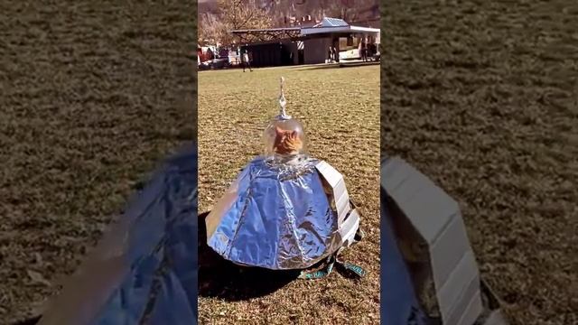 Космический кот.mp4