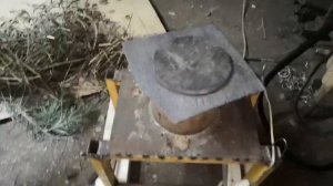 Выращивание выползка Василия. Питательный субстрат.