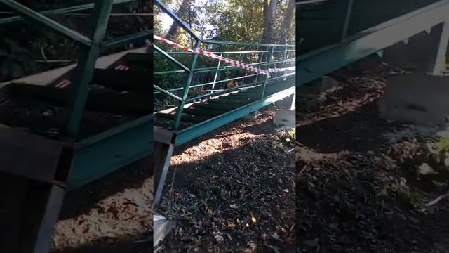 РЕПИН В СОЧИ ЛЕСТНИЦА ОТ ЖК "РОМАНОВСКИЙ" К МОРЮ смотреть онлайн