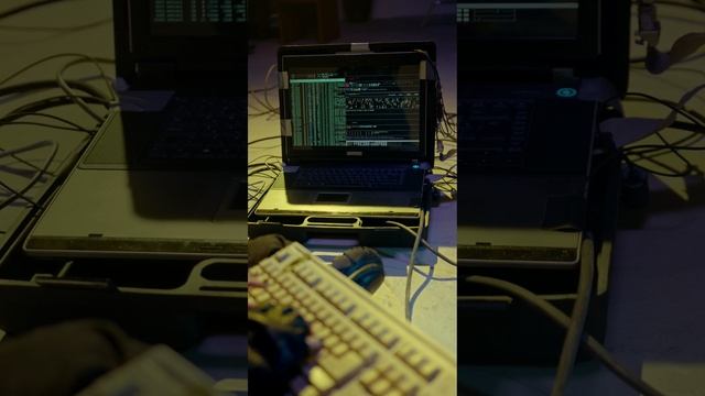 I Love Programming Language . Attitude Coder смотреть онлайн