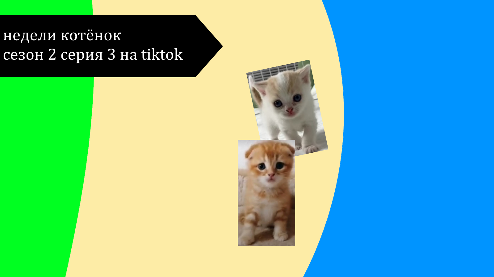 Недели котёнок сезон 2 серия 3 на tiktok смотреть онлайн