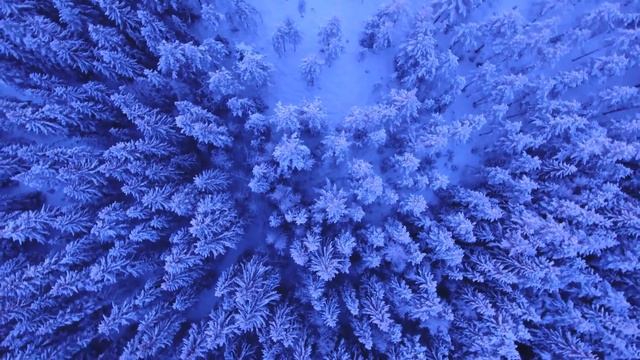 Deep Focus Music - Cozy Lofi Beats For Relaxation And Study