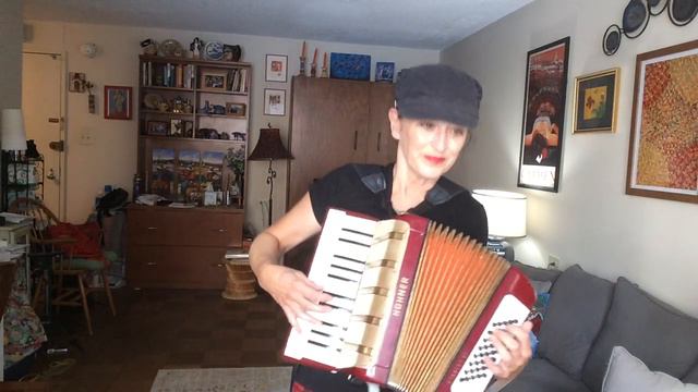 Terry Palasz: Mr Bojangles on Hohner 40 bass accordion смотреть онлайн