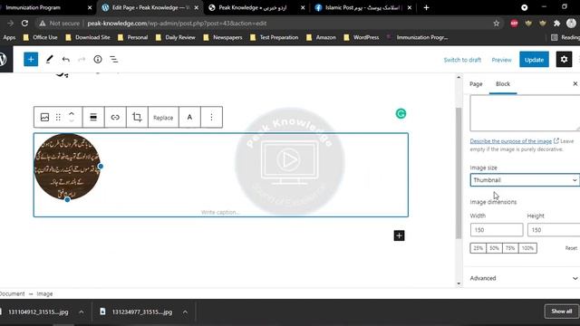 WordPress Urdu Website | Free Theme Customization Tutorial смотреть онлайн