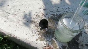 Замена топливного фильтра Рено Сценик3/Меган 3 1.5 dCi. Правильный фильтр для 636 мотора.