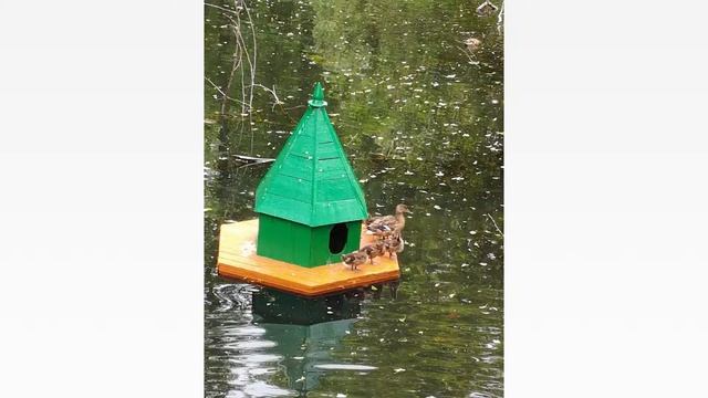 Россия священная наша держава Россия великая наша страна. смотреть онлайн