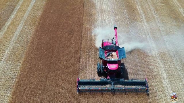 2020 WHEAT HARVEST With WALTER FARMS & HARVESTING
