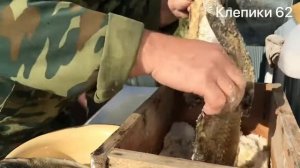 Карп сухого посола .