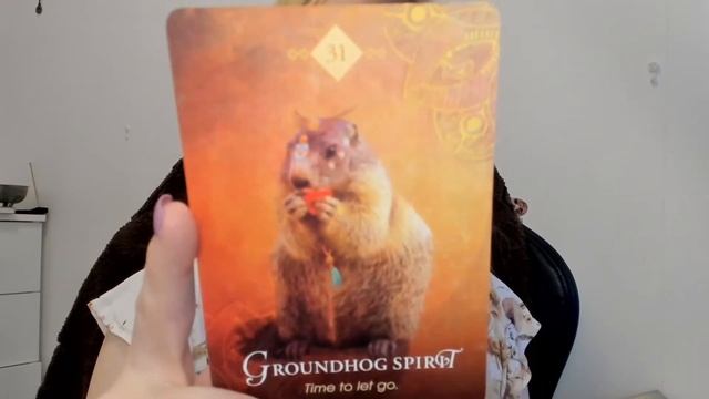 The Animal Spirit Oracle Unboxing смотреть онлайн