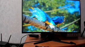 Монитор tiansu 27 дюймов 2k 240гц с OZON качество картинки