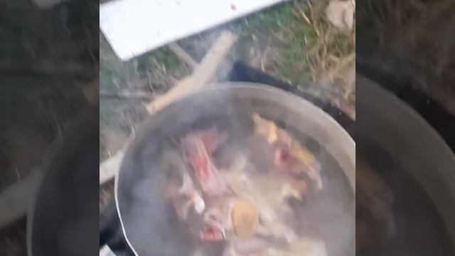 Дача утка смотреть онлайн