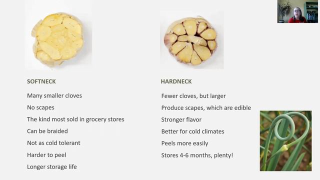 Fall Garden Prep Webinar смотреть онлайн