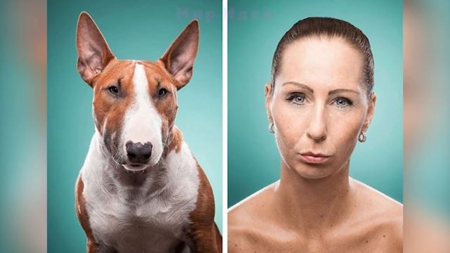 ✅ ЖИВОТНЫЕ ПОХОЖИ НА СВОИХ ХОЗЯЕВ смотреть онлайн