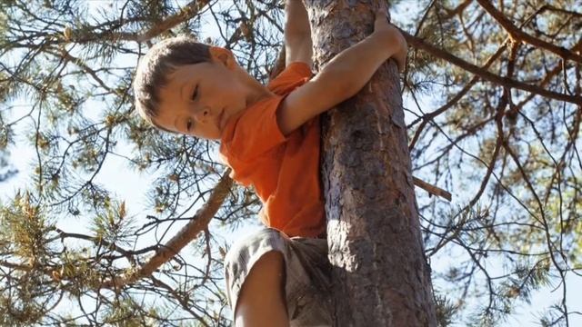 Белочки (стихотворение для детей от 3-х до 99-ти лет) смотреть онлайн