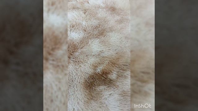 Ковер на пол меховой 90*200см / Ковер в детскую комнату (светло-бежевый) смотреть онлайн