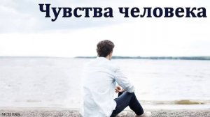 "Чувства человека. С. А. Спирин. МСЦ ЕХБ