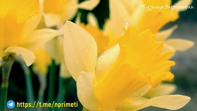 30 июля День Марины и Лазаря. Что нельзя делать 30 июля. Народные традиции и приметы смотреть онлайн