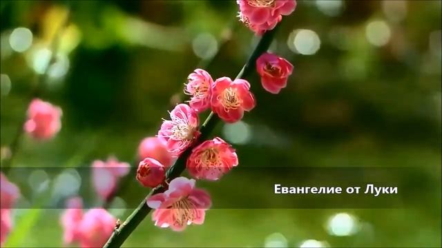 Евангелие от Луки / Глава 20 смотреть онлайн
