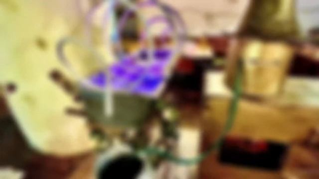 Мышеловка в Мышкине смотреть онлайн