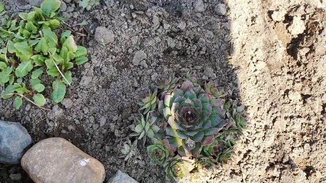 дача, апрель 2023год смотреть онлайн