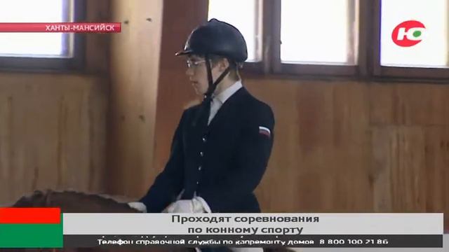 В Ханты-Мансийске начались соревнования по конному спорту смотреть онлайн