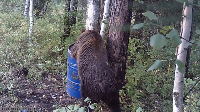 Охотничьи и рыболовные истории смотреть онлайн