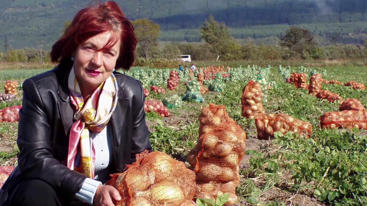 Нина Царёва Юбилей 29 01 2020 смотреть онлайн