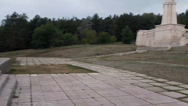 Человек и кошка с барабанной тряпкой и джембе смотреть онлайн