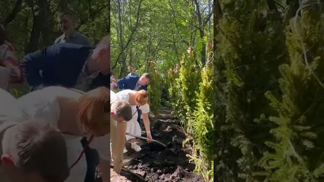 Акция волонтёров посадки деревьев смотреть онлайн