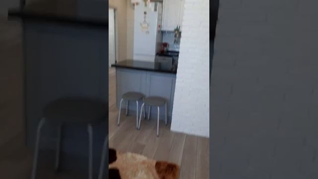 2х комн квартира в ЖК Адмирал с ремонтом мебелью и бытовой техникой. смотреть онлайн