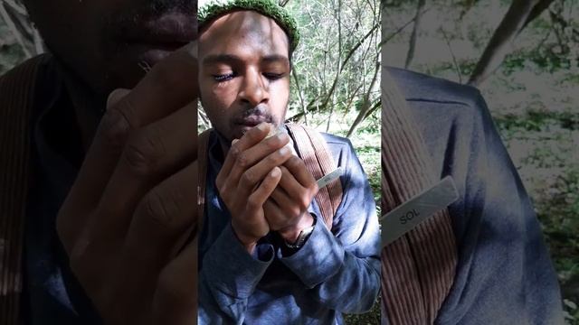 Herb ? spotlight: Usnea смотреть онлайн