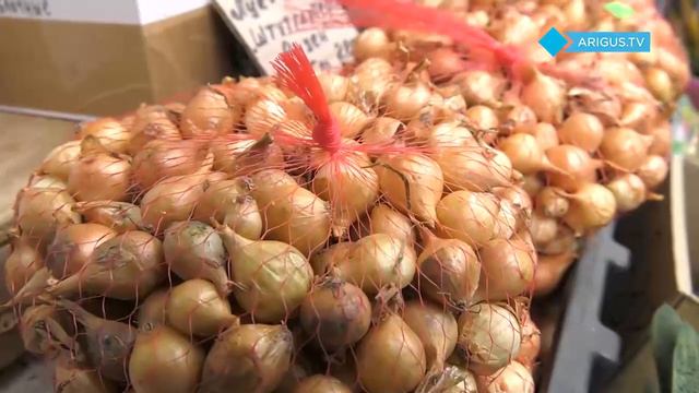 В Улан Удэ семена опасных сорняков обнаружили в пачках моркови смотреть онлайн