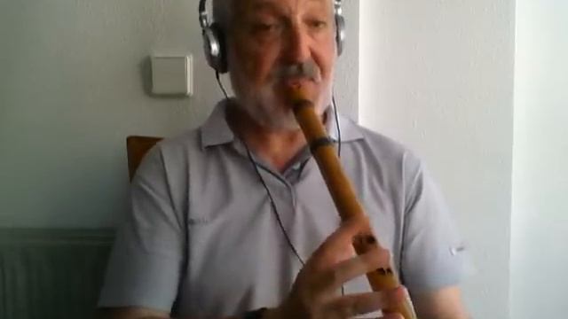 Despacito - Flute - (Luis Fonsi ft Daddy Yankee) - Quenacho (Quena) смотреть онлайн