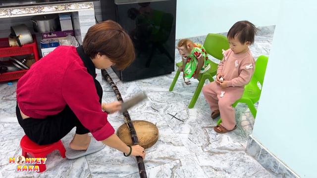 Monkey Kaka had teeth broken because her secretly ate sugar cane смотреть онлайн