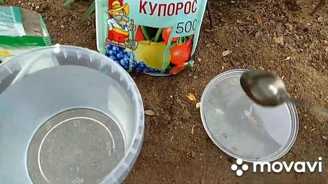 Хлороз растений. Как лечить железный хлороз. смотреть онлайн