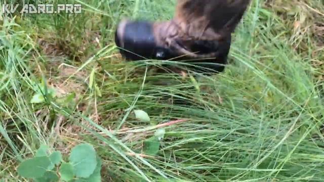 По ковровым болотам на квадроциклах с КвадроПро и Тюменскими Проходимцами смотреть онлайн