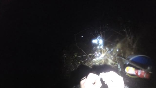 эпизод 5 . р.Луга сезон ловли НАЛИМА осень 2019. В гостях Валерий и Вадим . смотреть онлайн