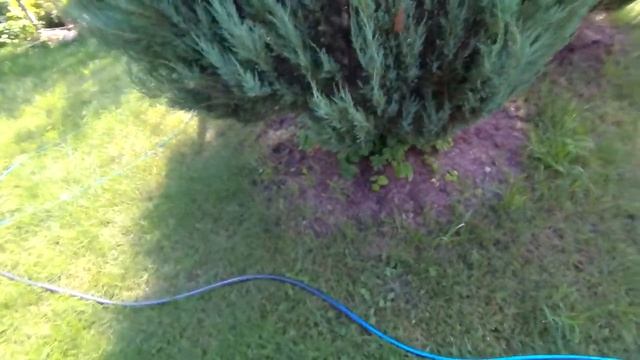 ??Отличный газон с помощью гербицида. Гербицид Линтур.