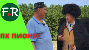 Разведение Романовских овец и КРС Абердин-ангусской породы в ПХ Пионер