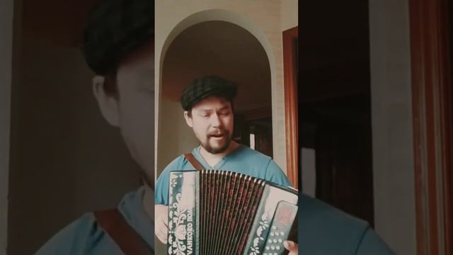 "Куликово поле" в до диез. Старый клен на тульской гармони смотреть онлайн