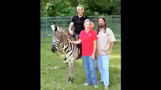 The Zebra Guru смотреть онлайн