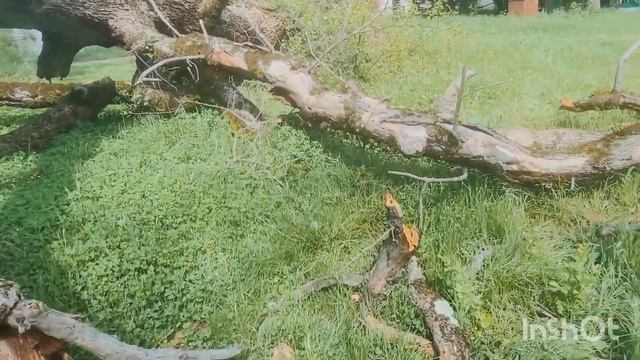 Новомихайловский "Хижина рыбака" и заброшенные места смотреть онлайн