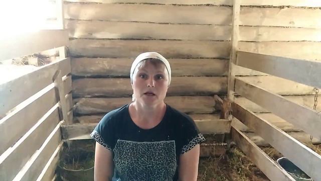 Наша жизнь в деревне//Покраска сарая//Тётя то во. смотреть онлайн