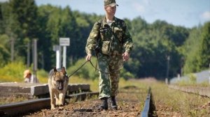 С ДНЕМ ПОГРАНИЧНИКА ! ЗЕЛЁНЫЙ ЦВЕТ ?(супер песня про пограничников) / Поздравление 28 мая!