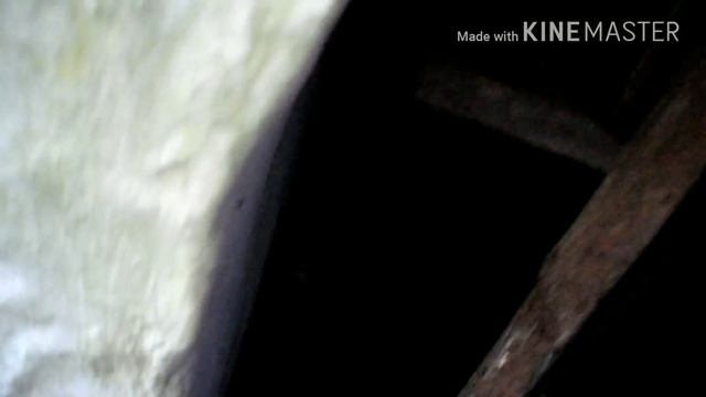 В СЕЛЕ У ТАНИ. ЦВЕТУТ ЯБЛОНИ.