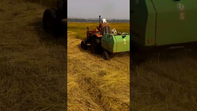 Уборка сена смотреть онлайн