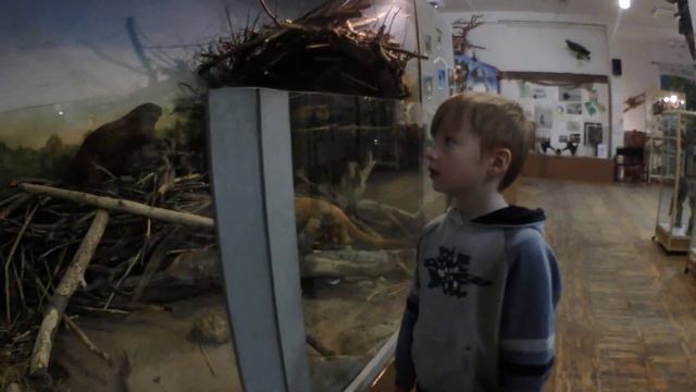 Как воет волк? смотреть онлайн